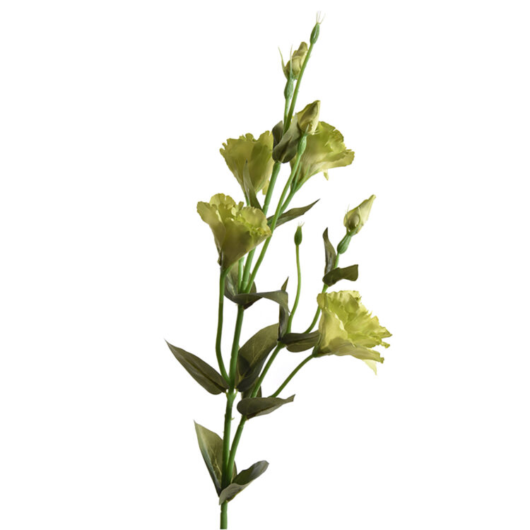 Zijden bloem Lysianthus groen