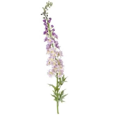Delphinium Spray XL 130 cm paars