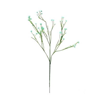 Gipskruid blauw - 50cm