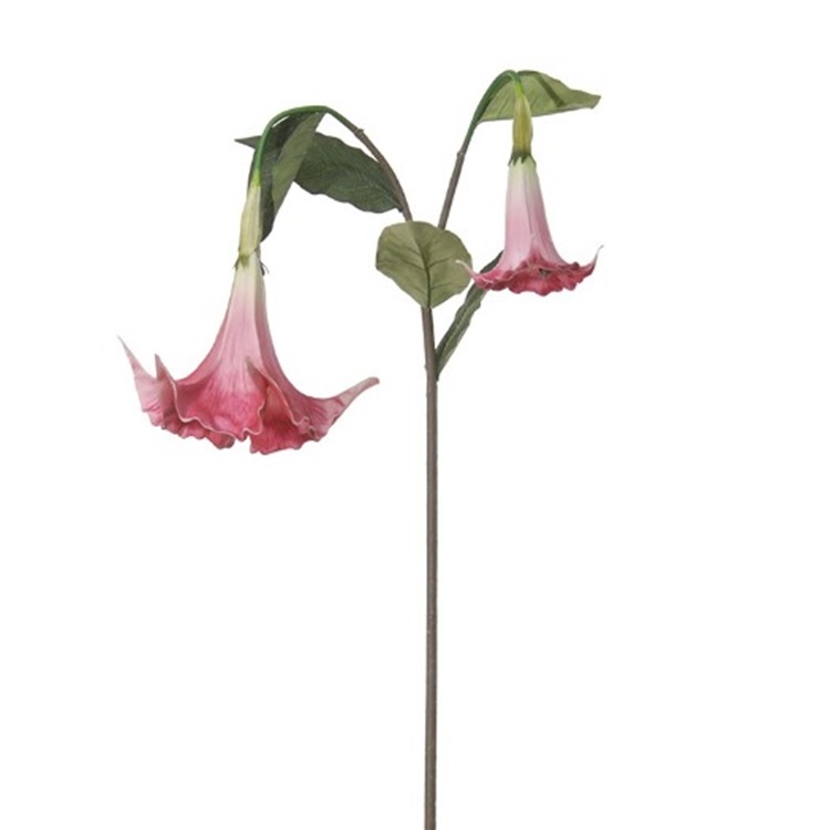 Datura Roze 100cm
