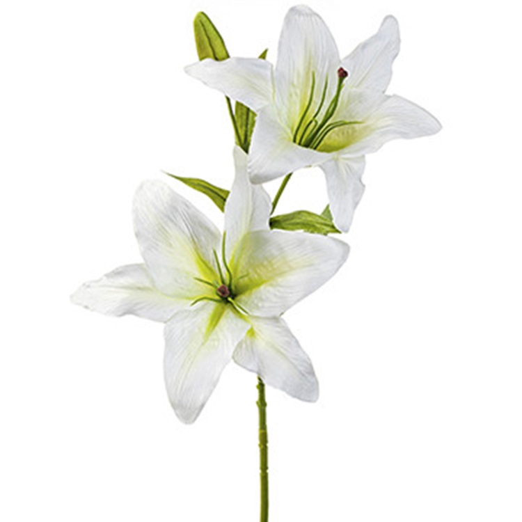 Lelie-wit-83cm