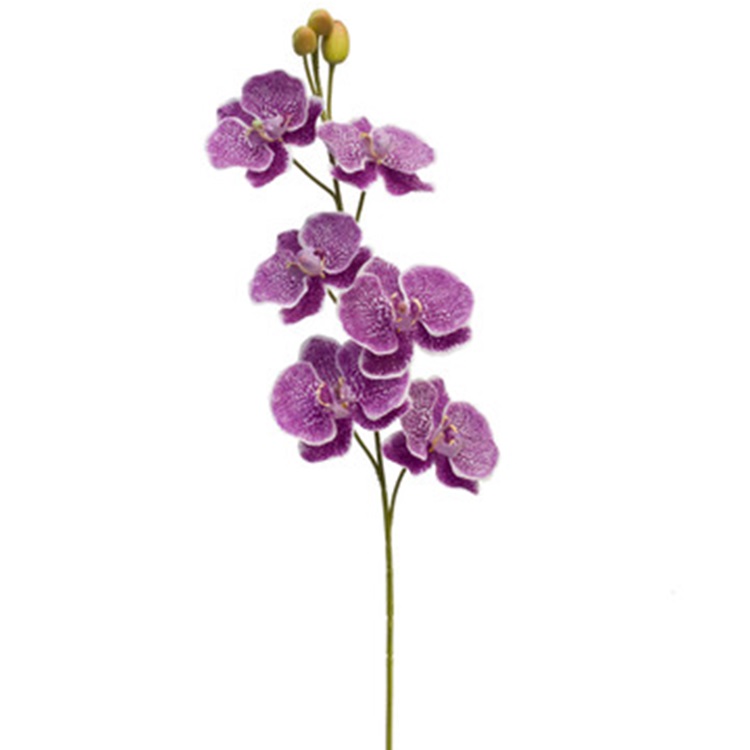 Orchidee-paars-80cm
