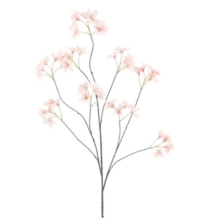 Saxifraga lichtroze 130 cm.