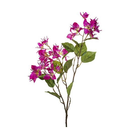 Bougainvillea fuchsia 82cm