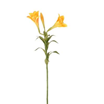 lelie-geel-3bloemen-75cm