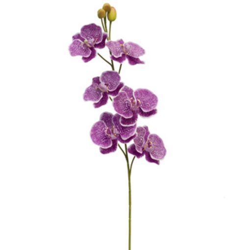 Orchidee-paars-80cm