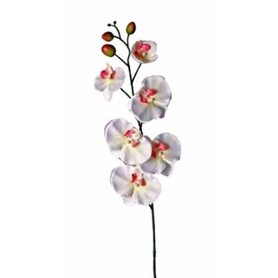Orchidee Cream 85cm