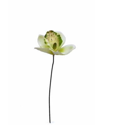 Orchidee-cream-green-35cm