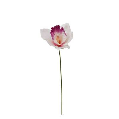 Orchidee-wit-met-roze-35cm