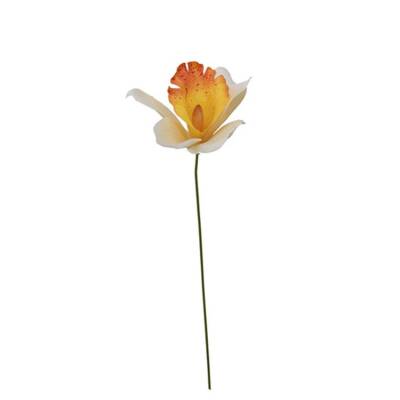 Orchidee-wit-met-oranje-35cm