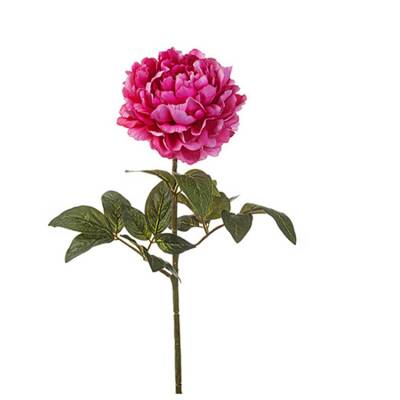 Pioenroos-roze-70cm