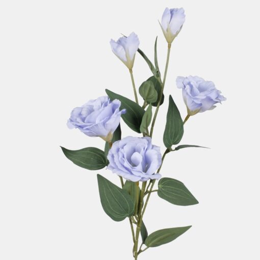 Lisianthus lichtblauw