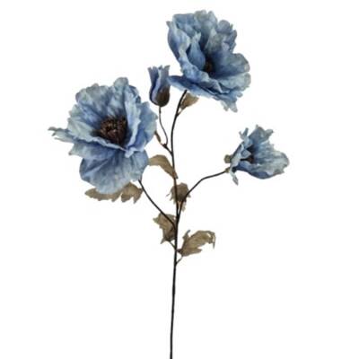 Poppy Blue