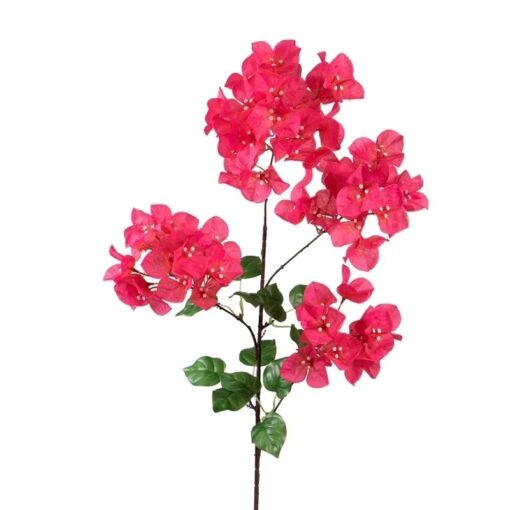 Bougainvillea fuchsia 100cm