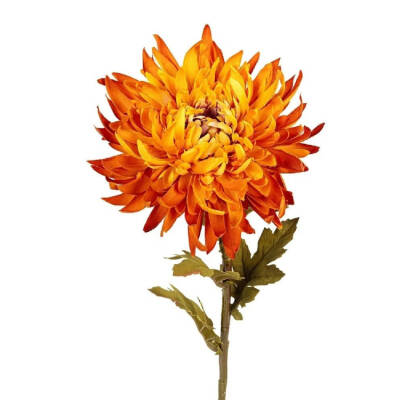 Chrysant Geel/Oranje - 62cm