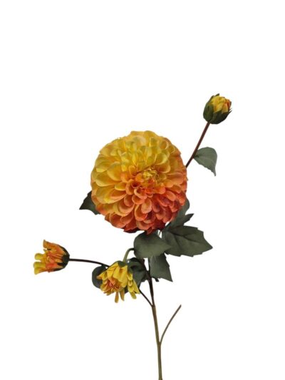 dahlia-groot-oranje