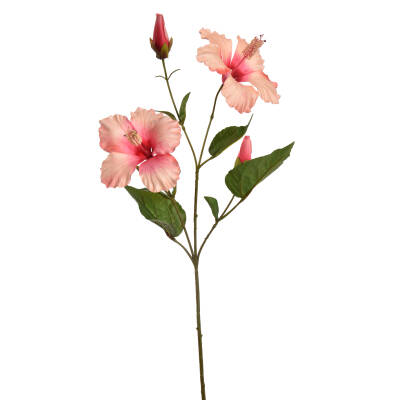 Hibiscus-spray-peach-66cm