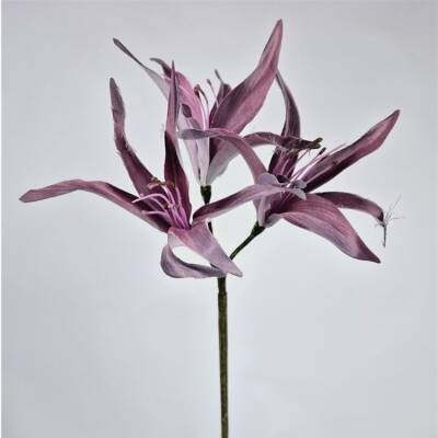 hoya-lily-spray-purple-79cm