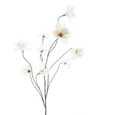 wild-magnolia-white