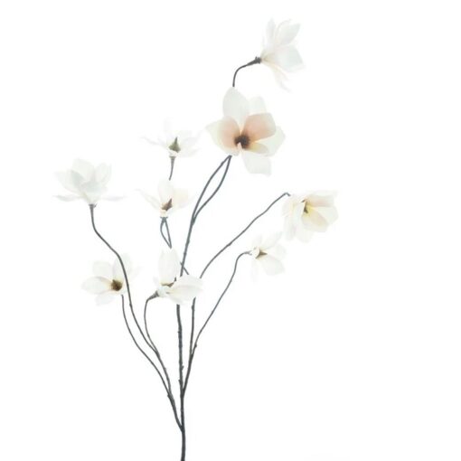 wild-magnolia-white