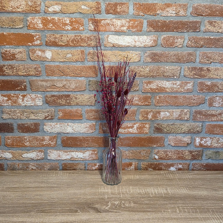 Bordeaux rood droogbloemen