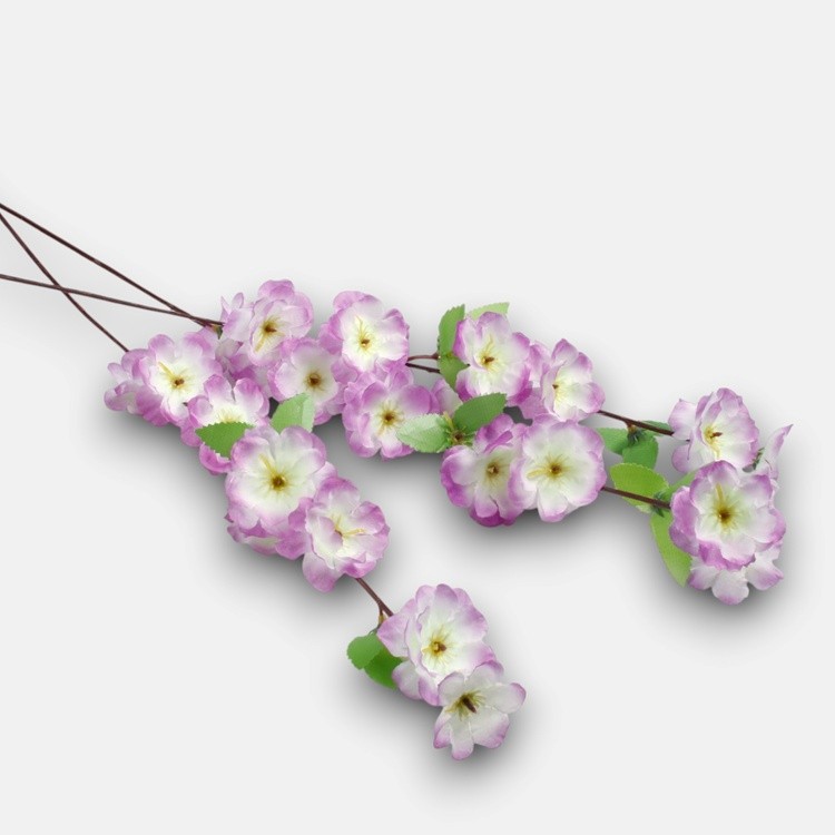 appelbloesem-creme-paars