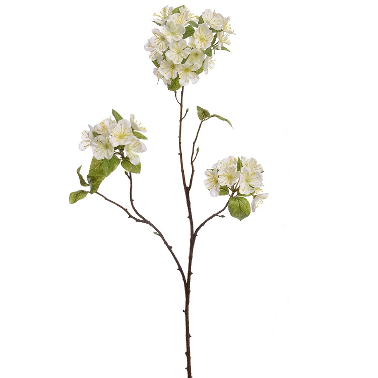 Apple blossom cream