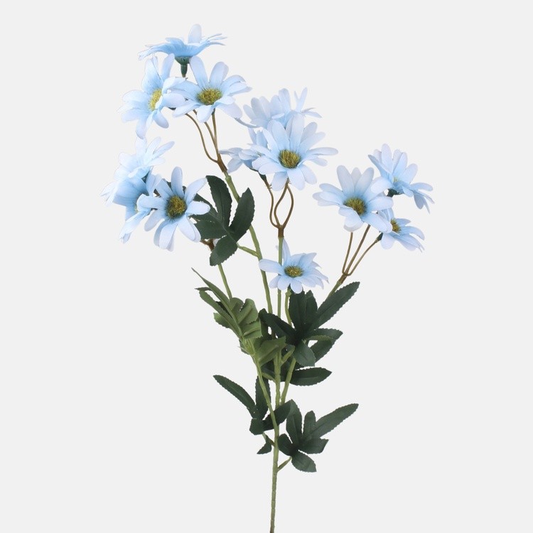 madeliefjes-lichtblauw