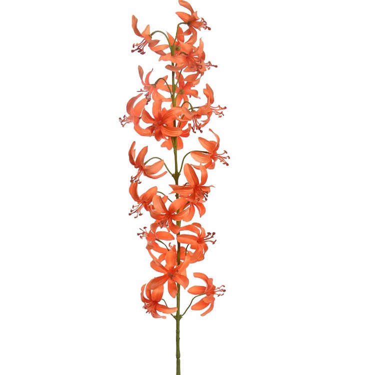 Martagon lelie oranje