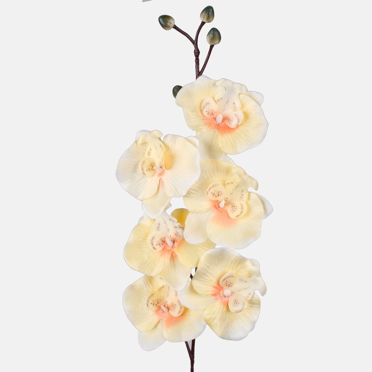 orchidee-lichtgeel