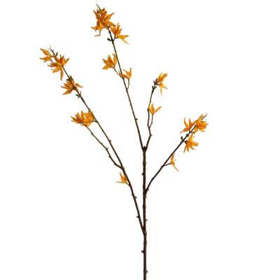 forsythia geel 70cm