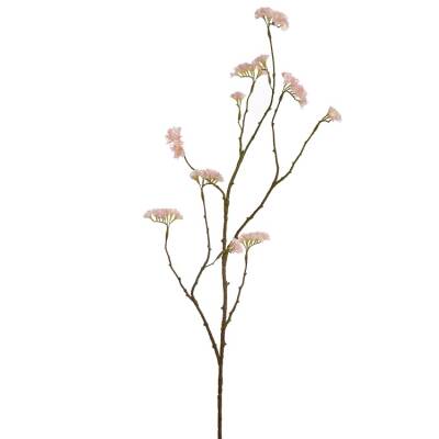 Limonium pink cream 110cm