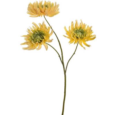 mum spray geel chysant