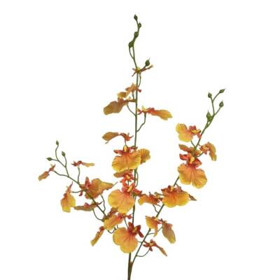 oncidium orchidee oranje geel