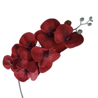 Zijden-orchidee-bordeaux