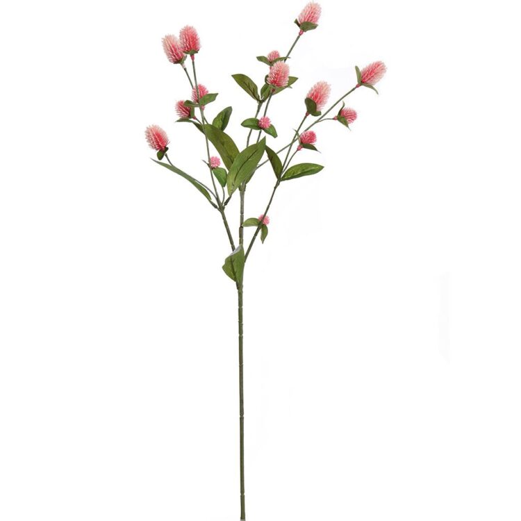 kusntbloem-globosa-roze