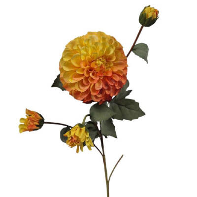 Dahlia Groot Oranje - 75cm