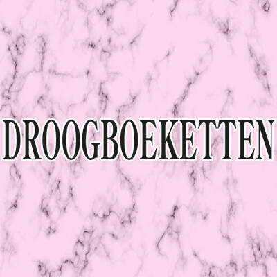 Droogboeketten