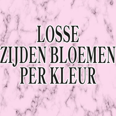 Losse Zijden Bloemen