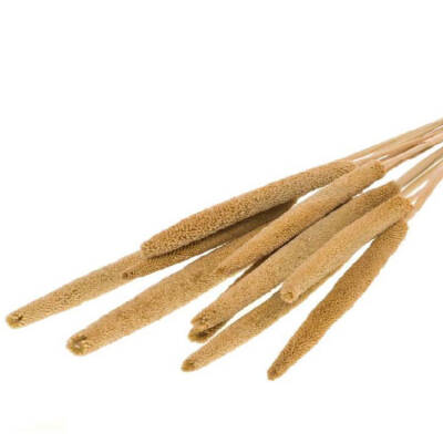 Naturel droogbloemen