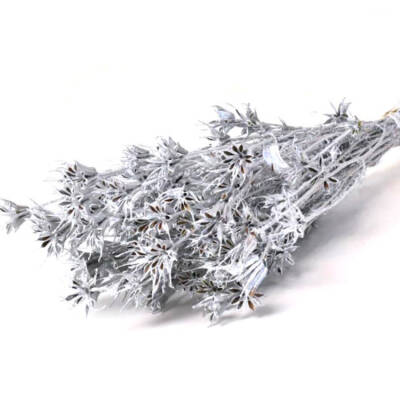 Zilveren droogbloemen