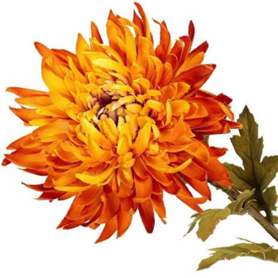 Oranje zijden bloemen