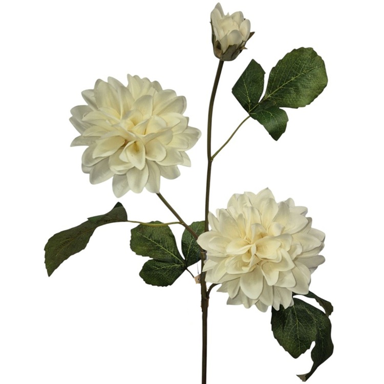 Dahlia Off White - 2 bloemen, 1 knop - 72cm