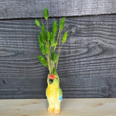 papegaai-vaasje-met-droogbloemen