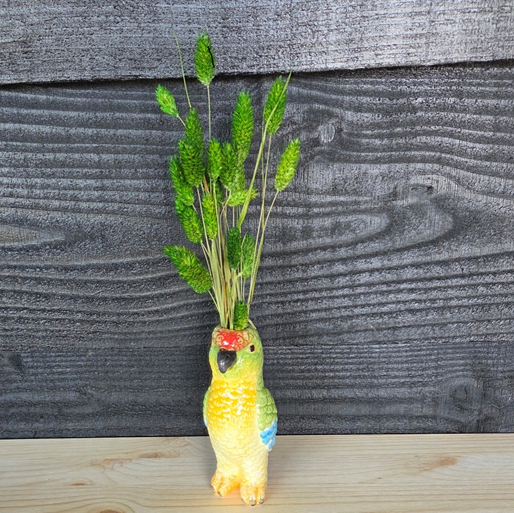 papegaai-vaasje-met-droogbloemen